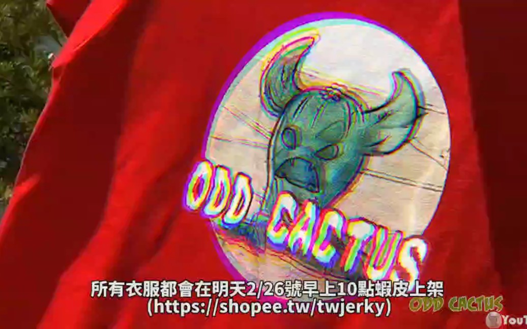 五个高清灵异的有声画面【奇怪的仙人掌系列】